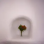 Апартаменты The Pelican Heritage House. Mykonos Town