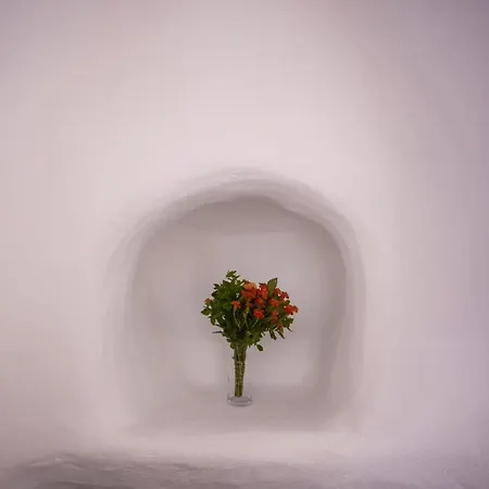 公寓 The Pelican Heritage House. Mykonos Town